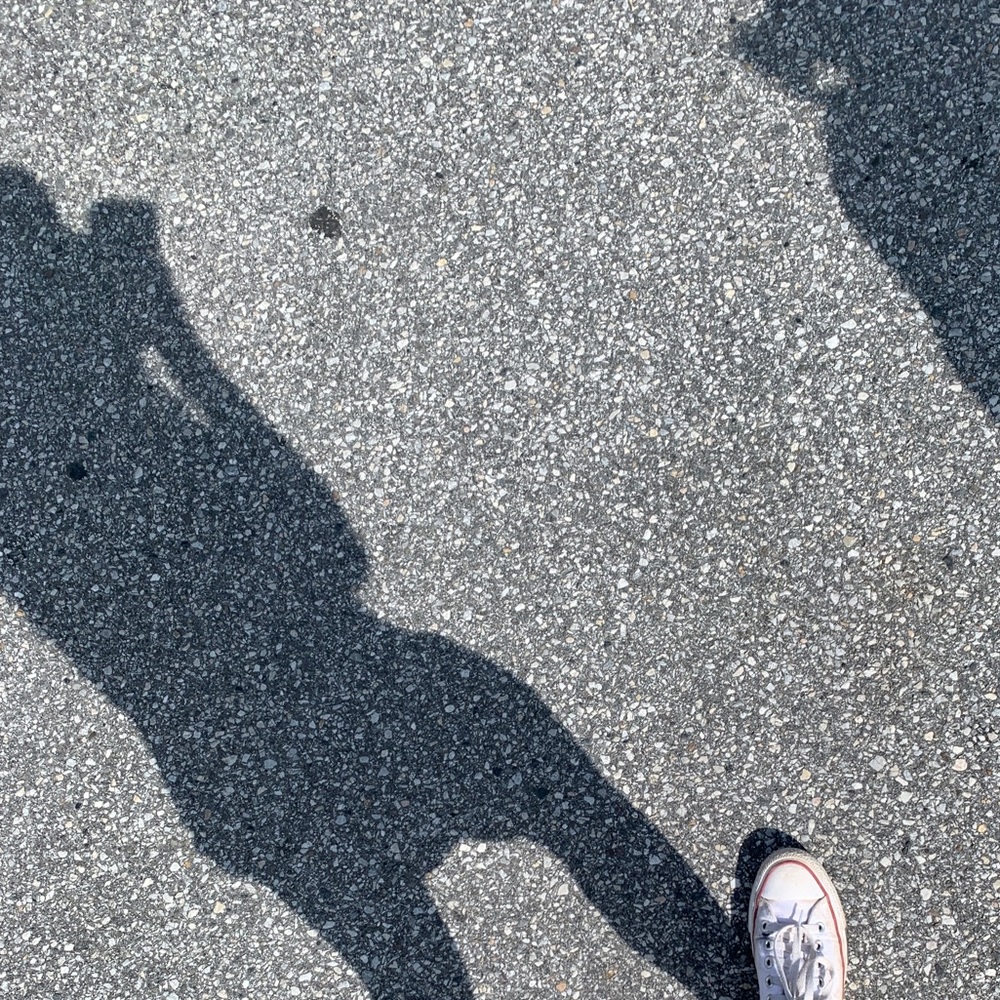 Meet your Posher, Gracie